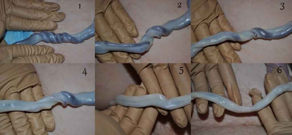 Source: nurturingheartsbirthservices.com -- showing time lapse from birth to 15 minutes later.