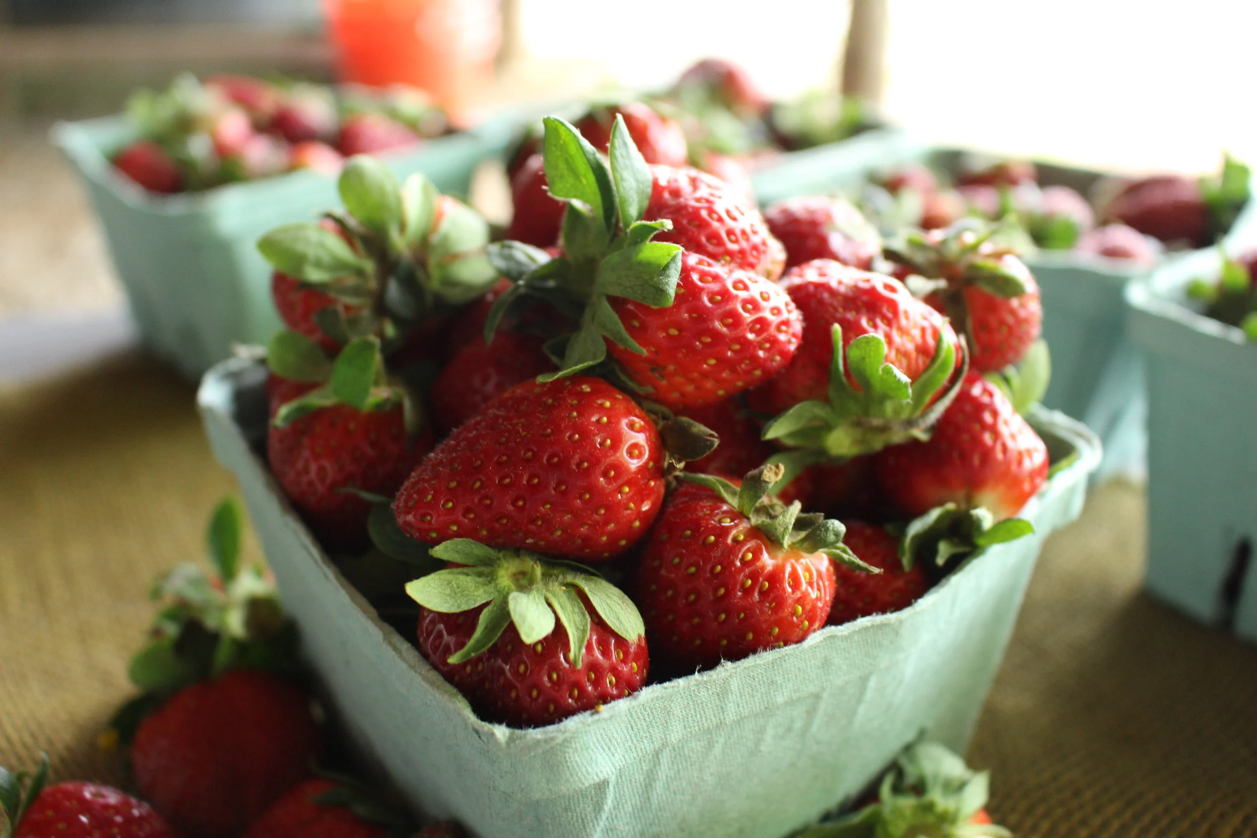 IMG_4290.JPG