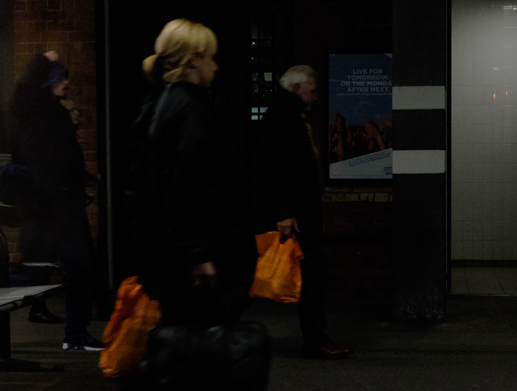 DSCF1779.jpg