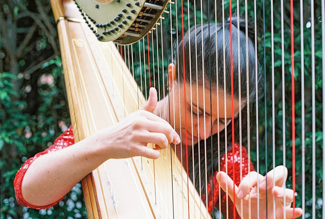 Rebecca The Harpist (from the series Working Hands)