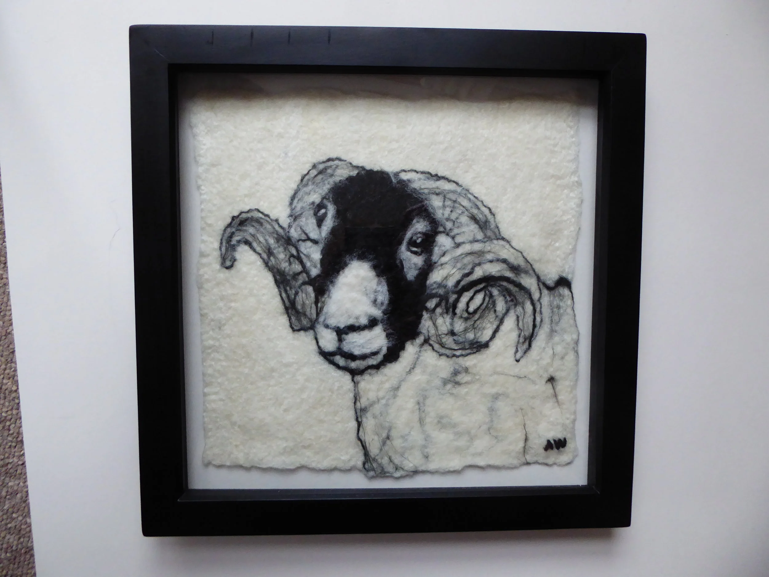 Swaledale Ram