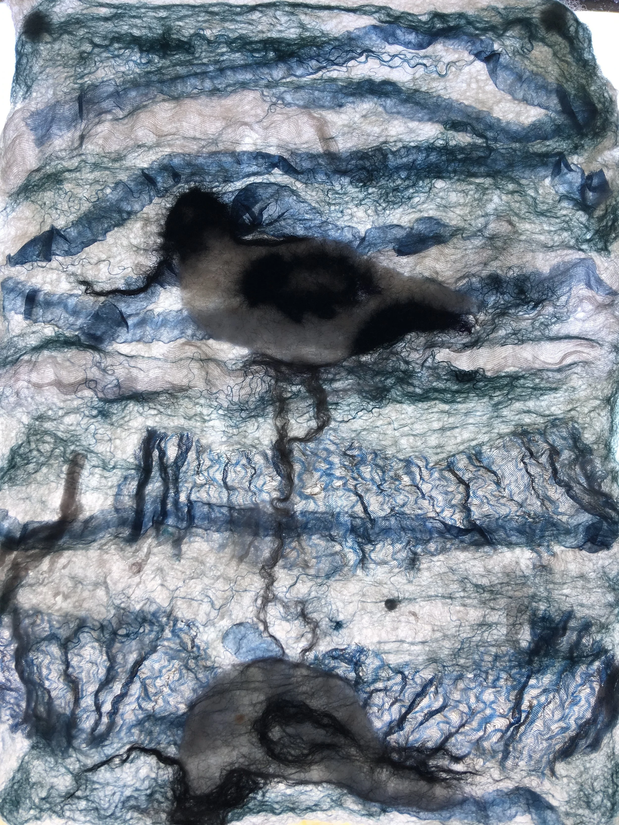 Avocet reflection