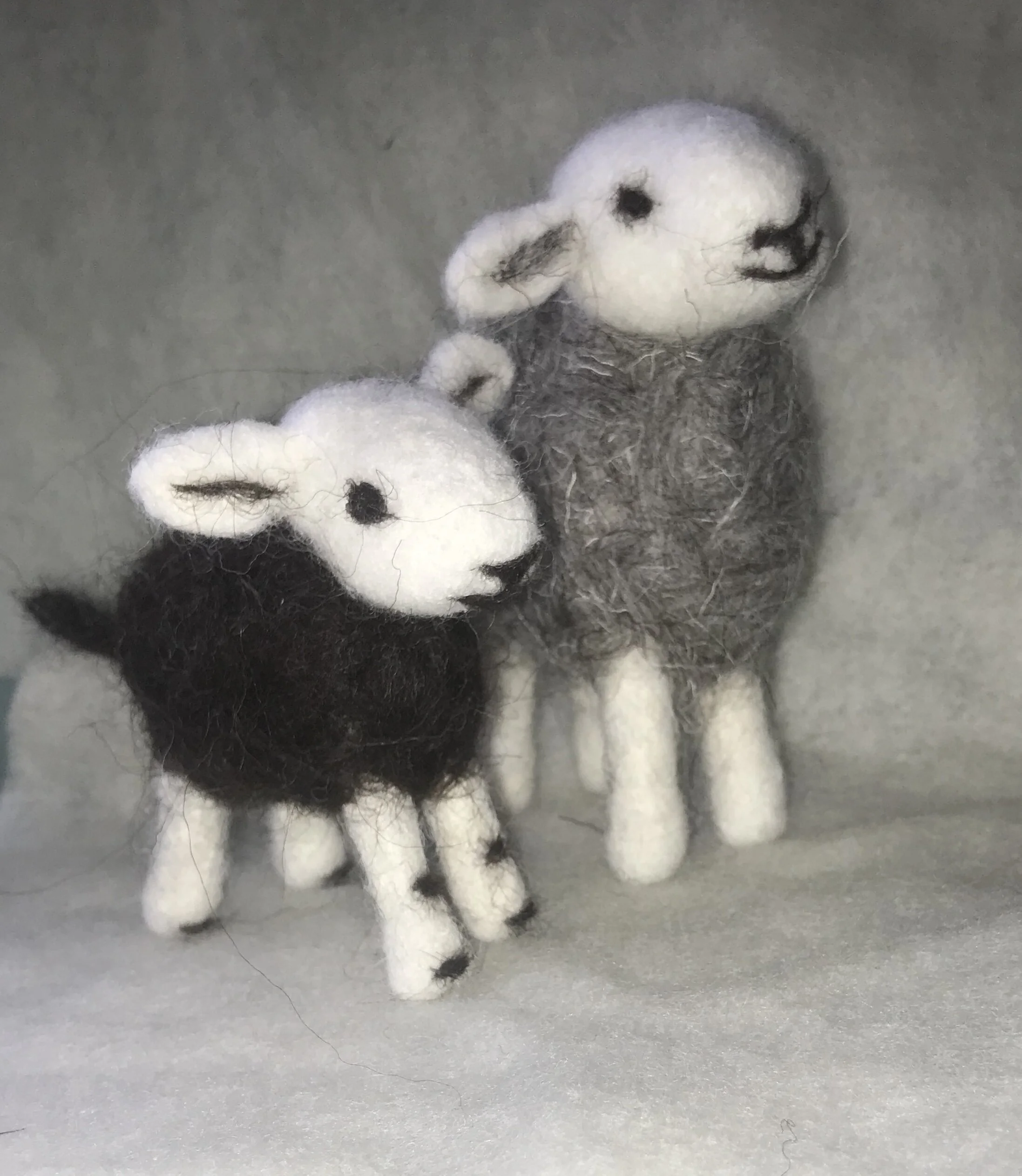 Herdwick Ewe and Lamb