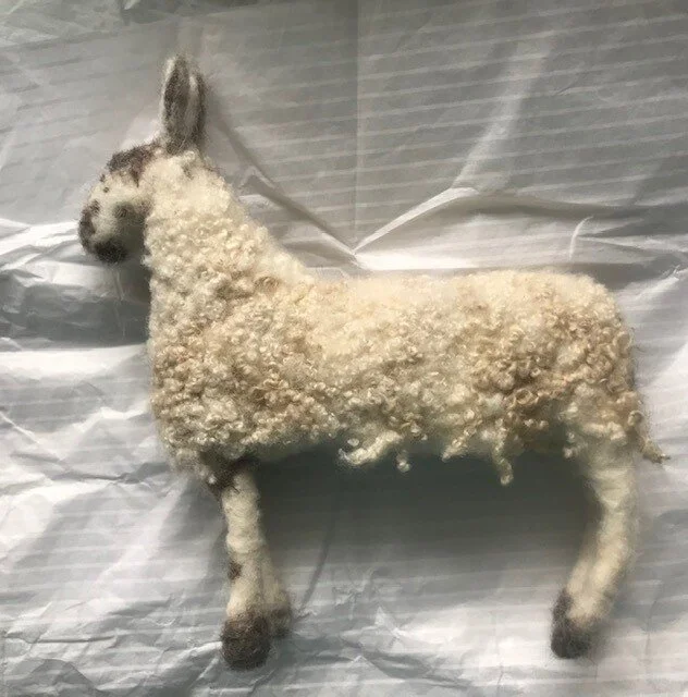 Blue Faced Leicester Ram