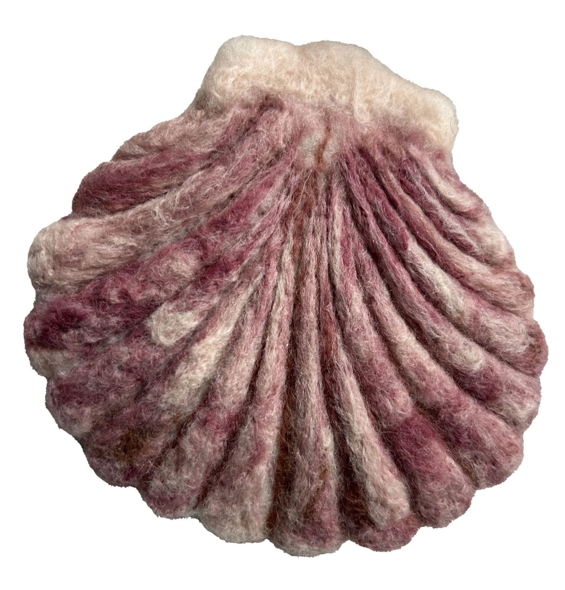 Scallop.jpg