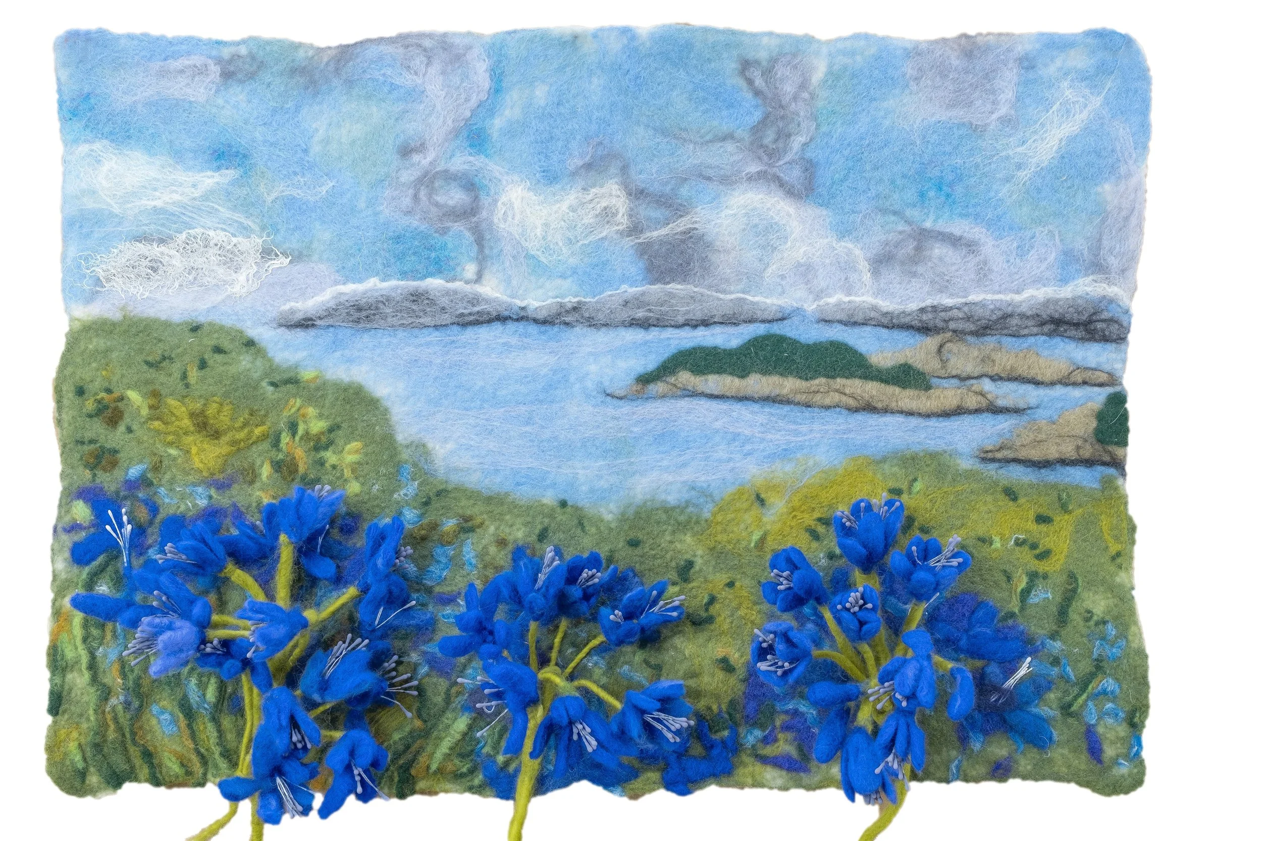 agapanthus p95.jpg