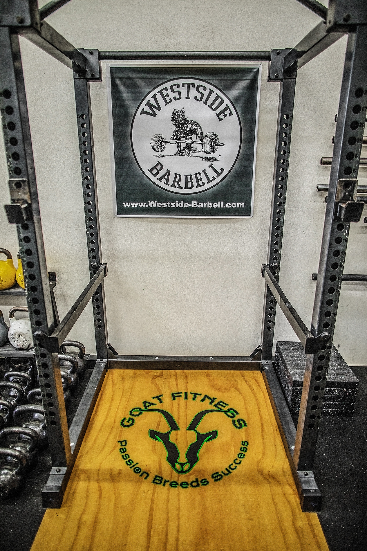 MSHL3896.jpg