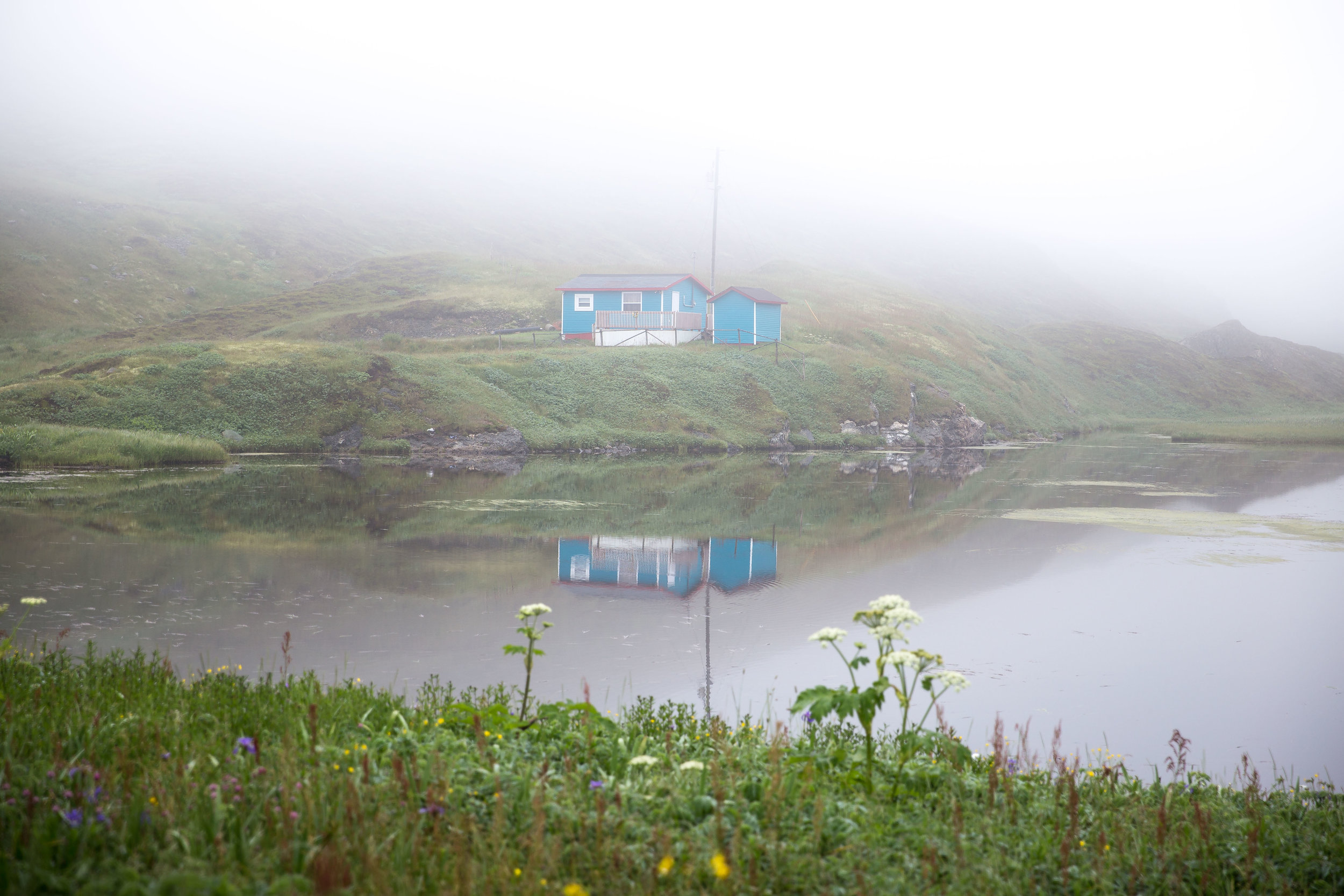 On the Way to Cape Race