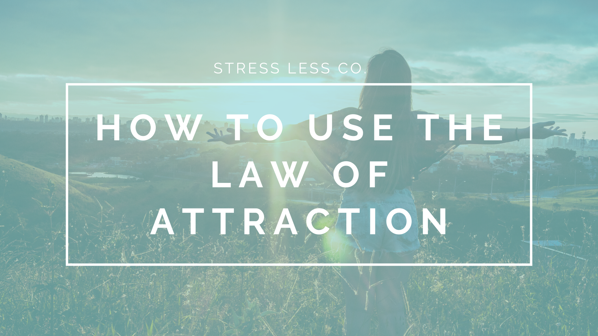 How to Use the Law of Attraction