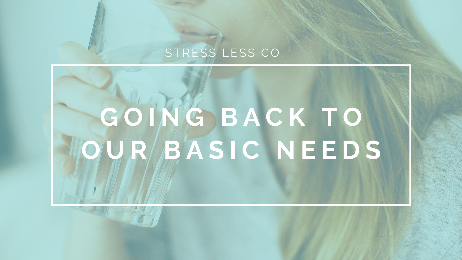 Going Back to Our Basic Needs