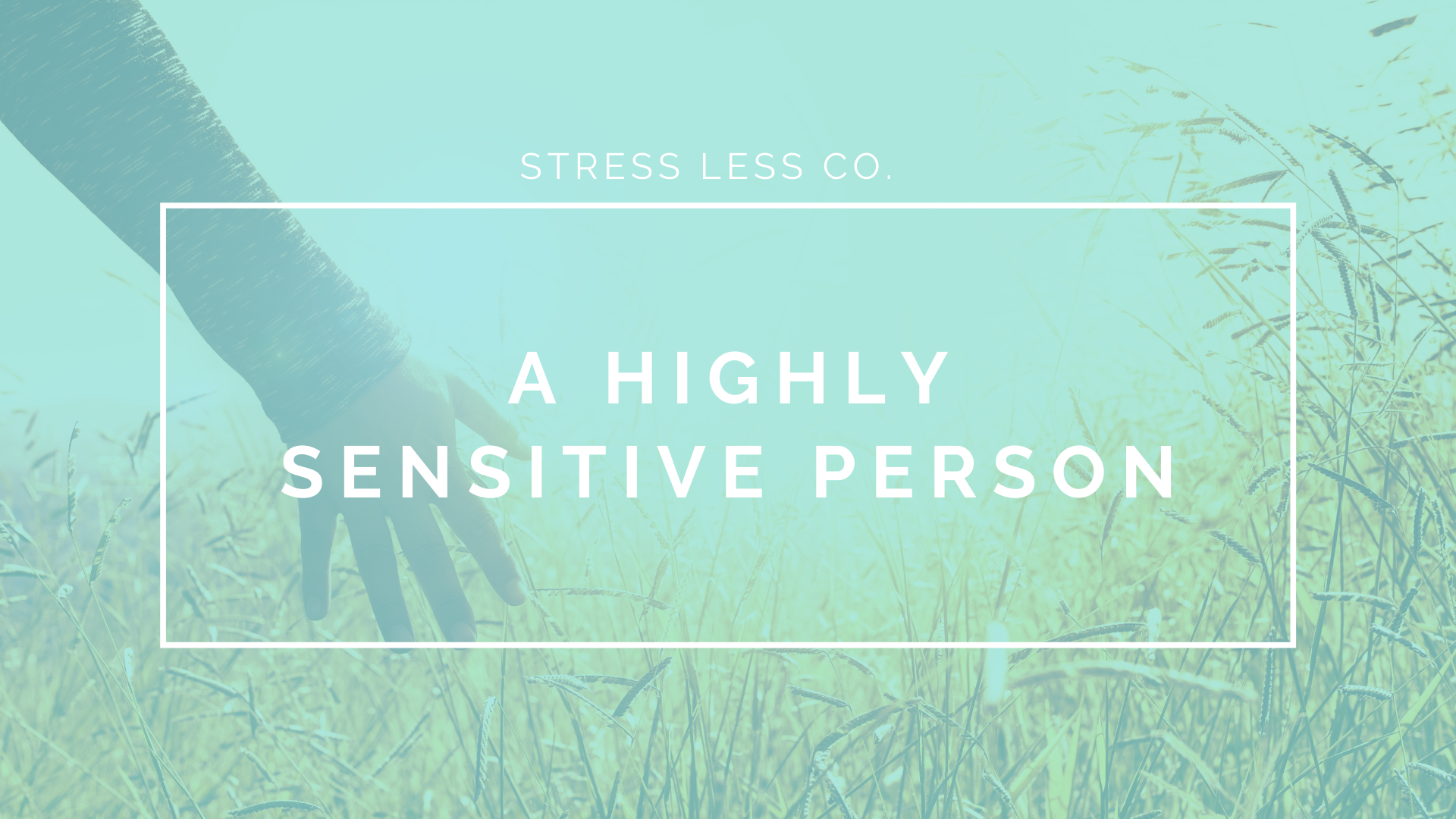 A Highly Sensitive Person