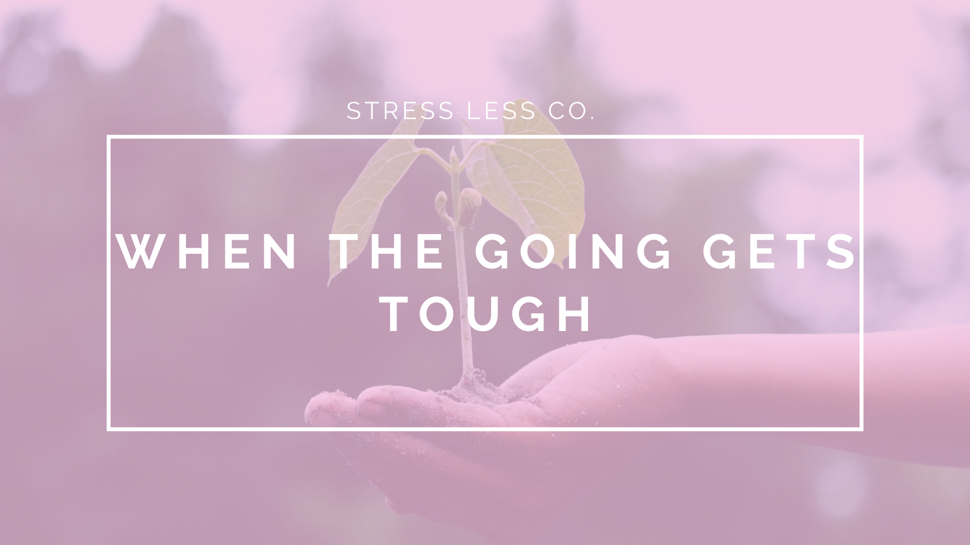 When The Going Gets Tough