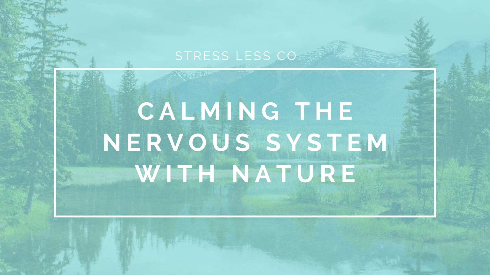 Calming the Nervous System with Nature 