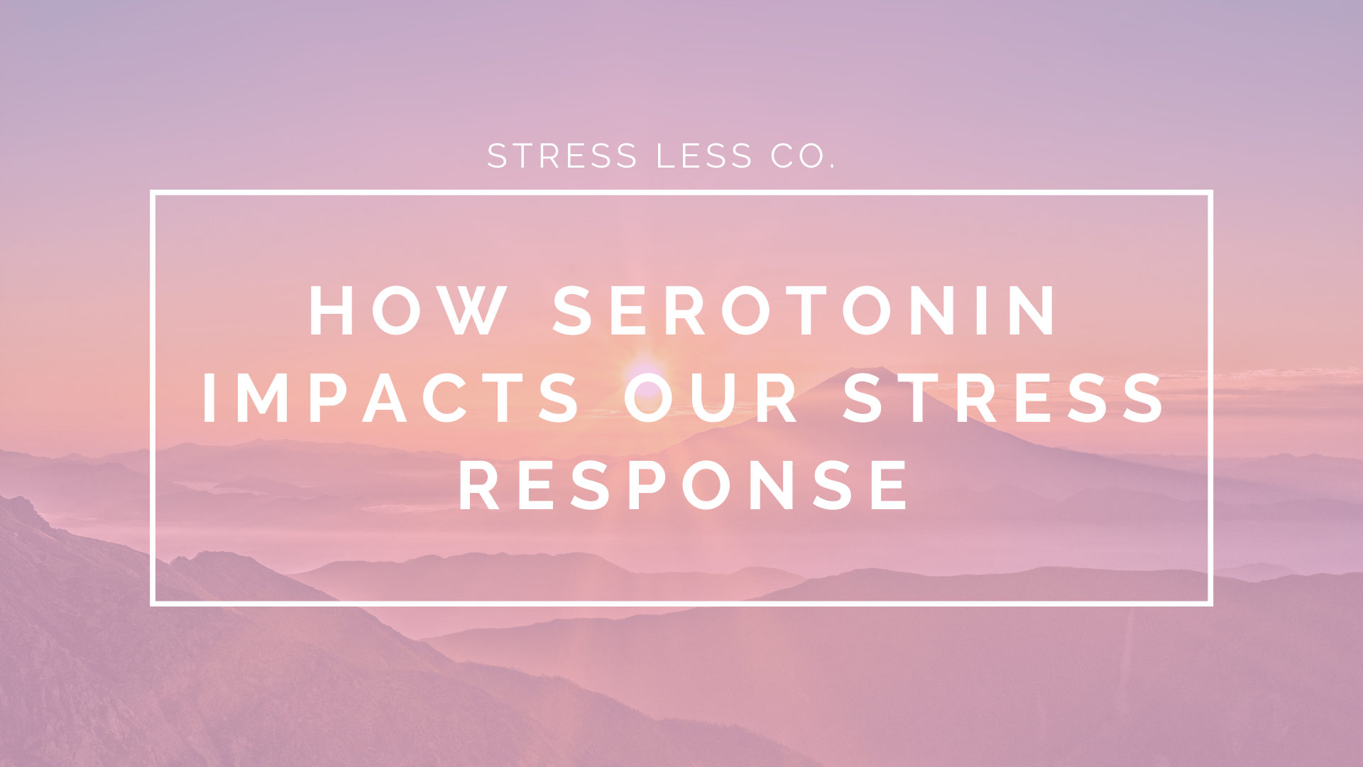 How Serotonin Impacts Our Stress Response