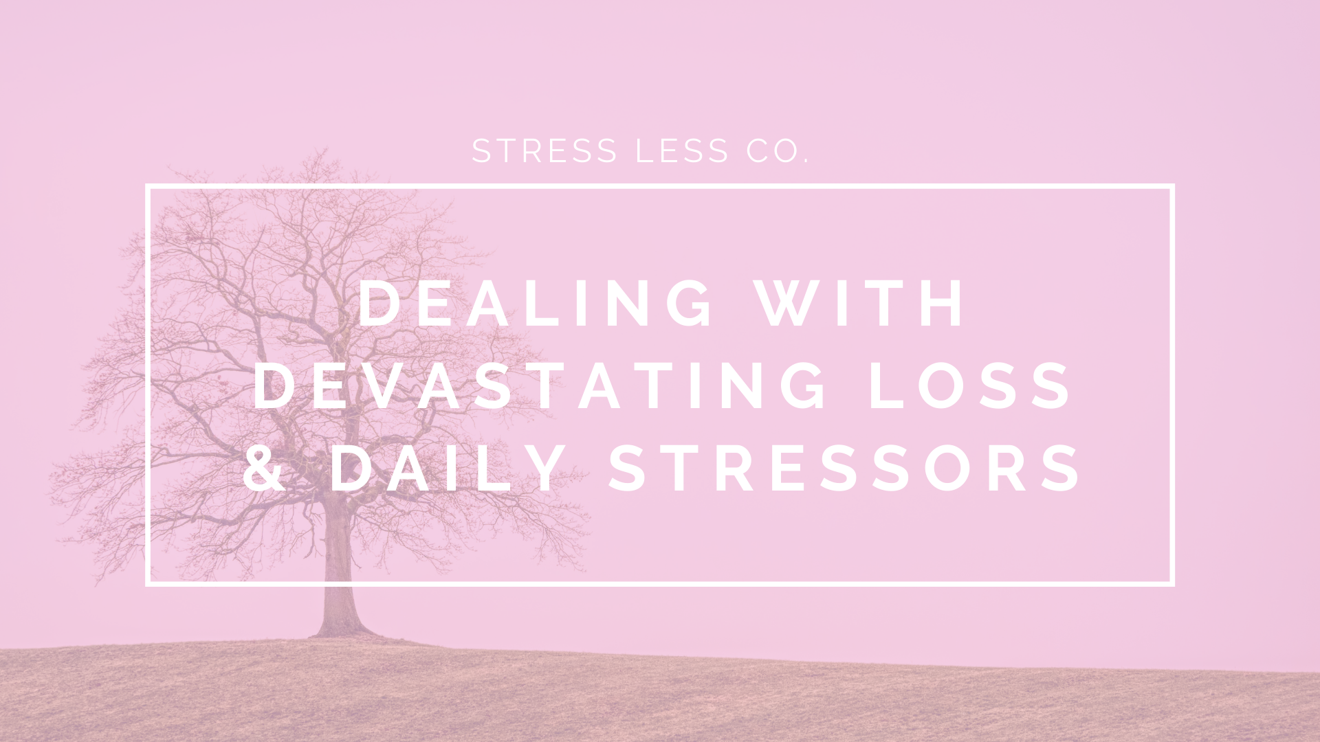 Dealing with Devastating Loss &amp; Daily Stressors