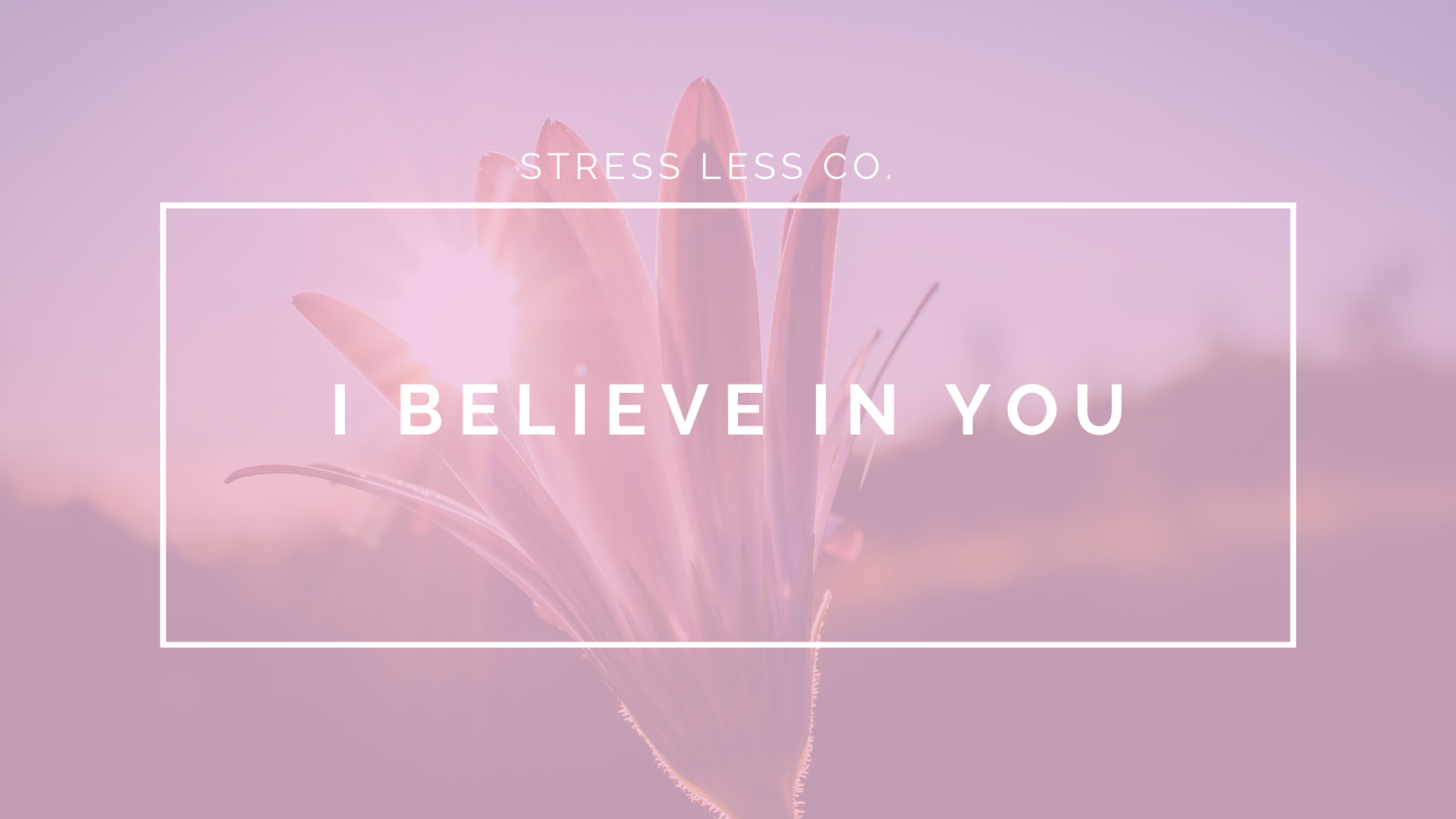 I Believe In You