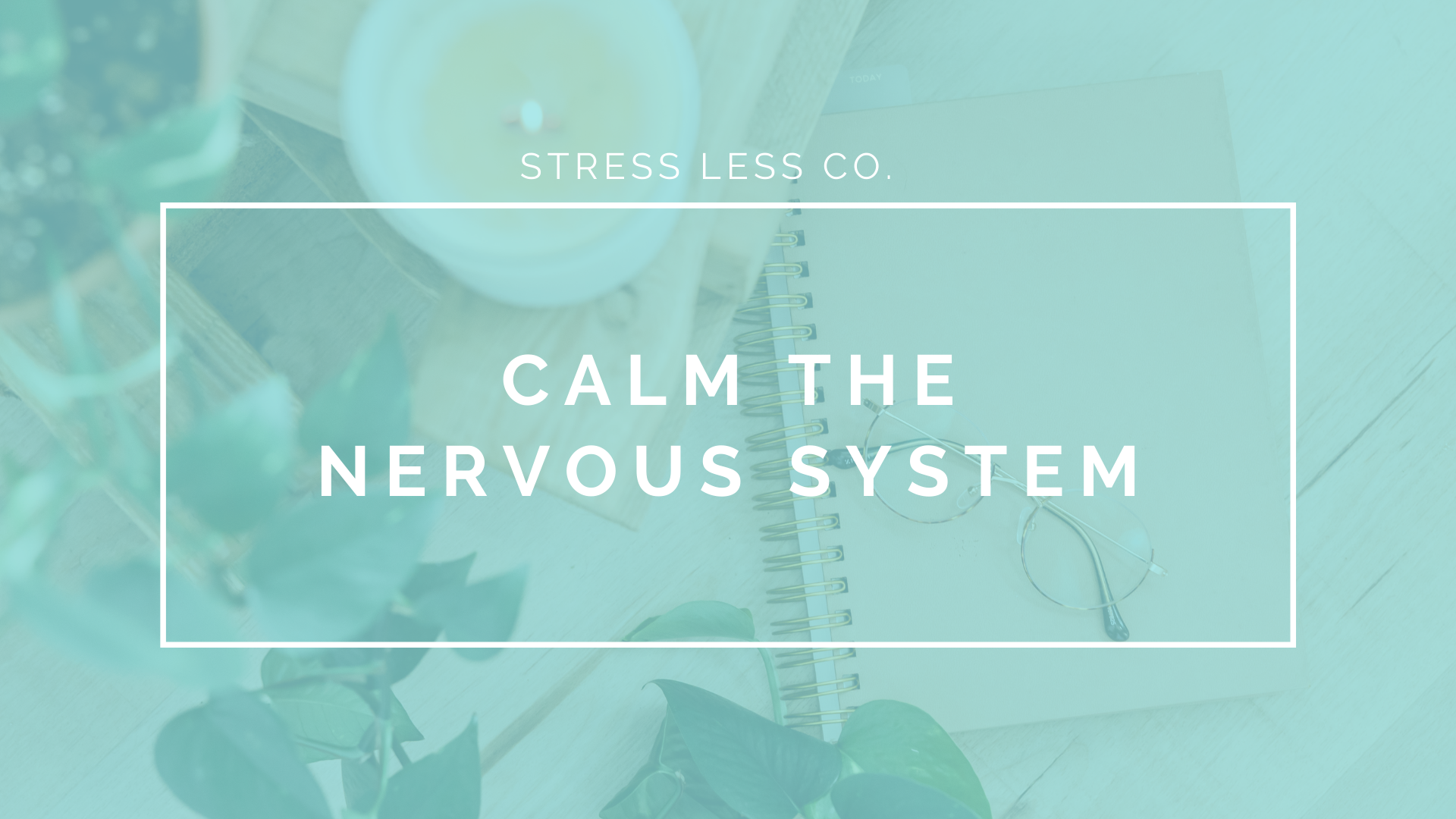 Calm the Nervous System