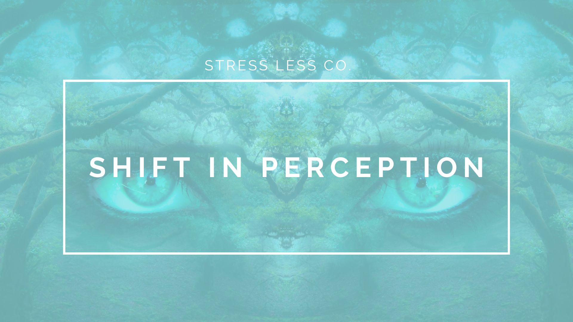 Shift in Perception