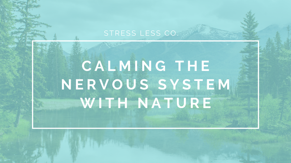 Calming the Nervous System with Nature — Carlee A. Myers