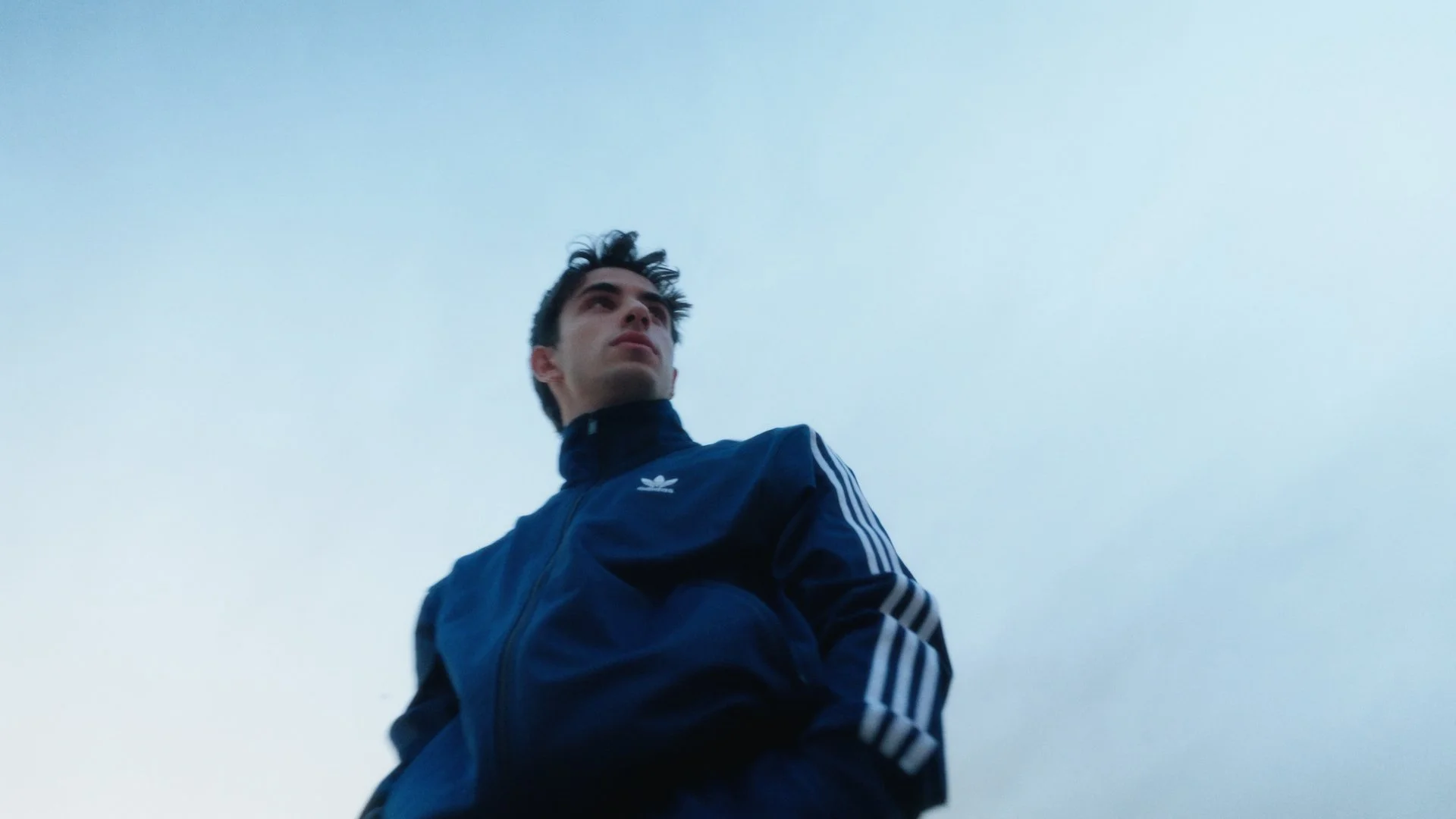 THE LINE - MADRE - ON - FULLHD - 16 9.00_00_16_17.Still031.jpg