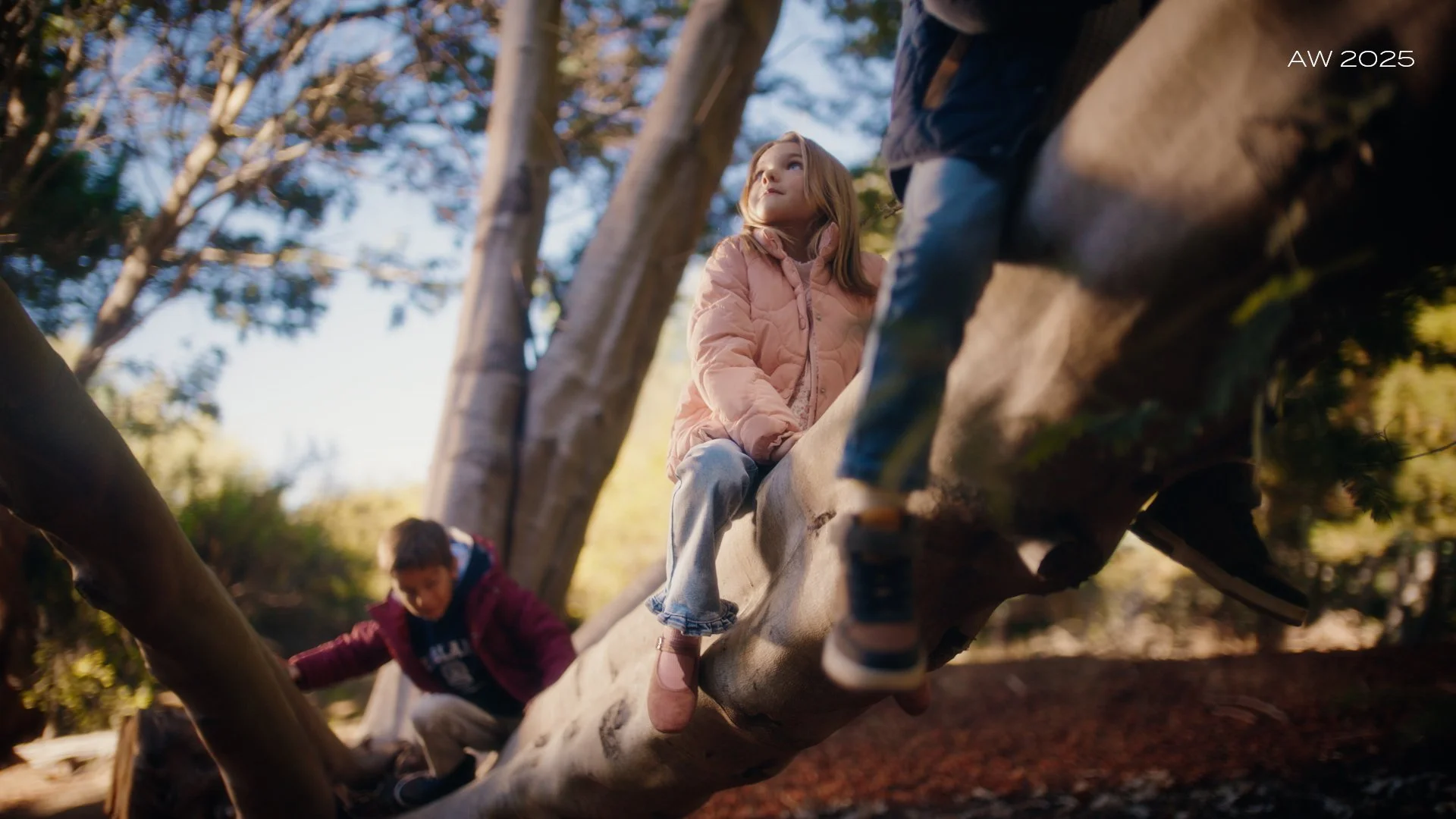 FALABELLA - CONIGLIO - ONLINE - SDA.00_00_06_14.Still010.jpg