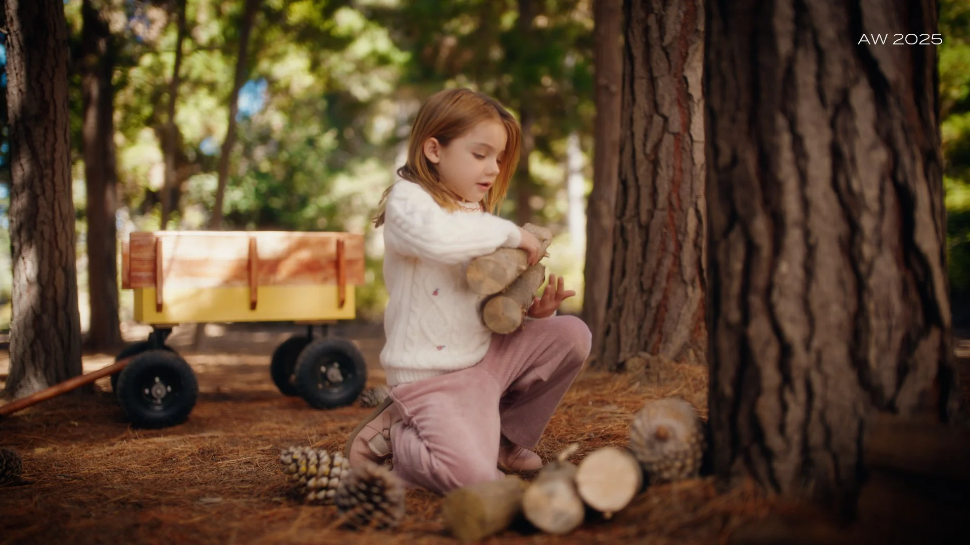 FALABELLA - CONIGLIO - ONLINE - SDA.00_00_24_07.Still029.jpg