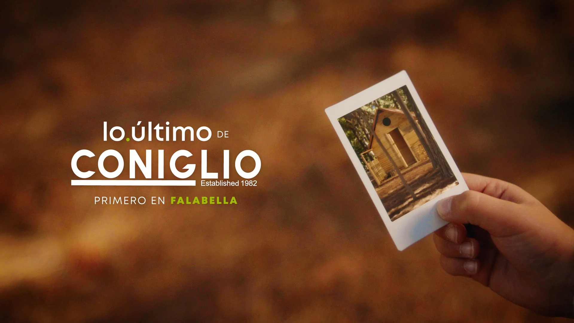 FALABELLA - CONIGLIO - ONLINE - SDA.00_00_29_05.Still033.jpg