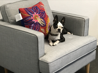 The new spiritual direction chairs are very comfy!