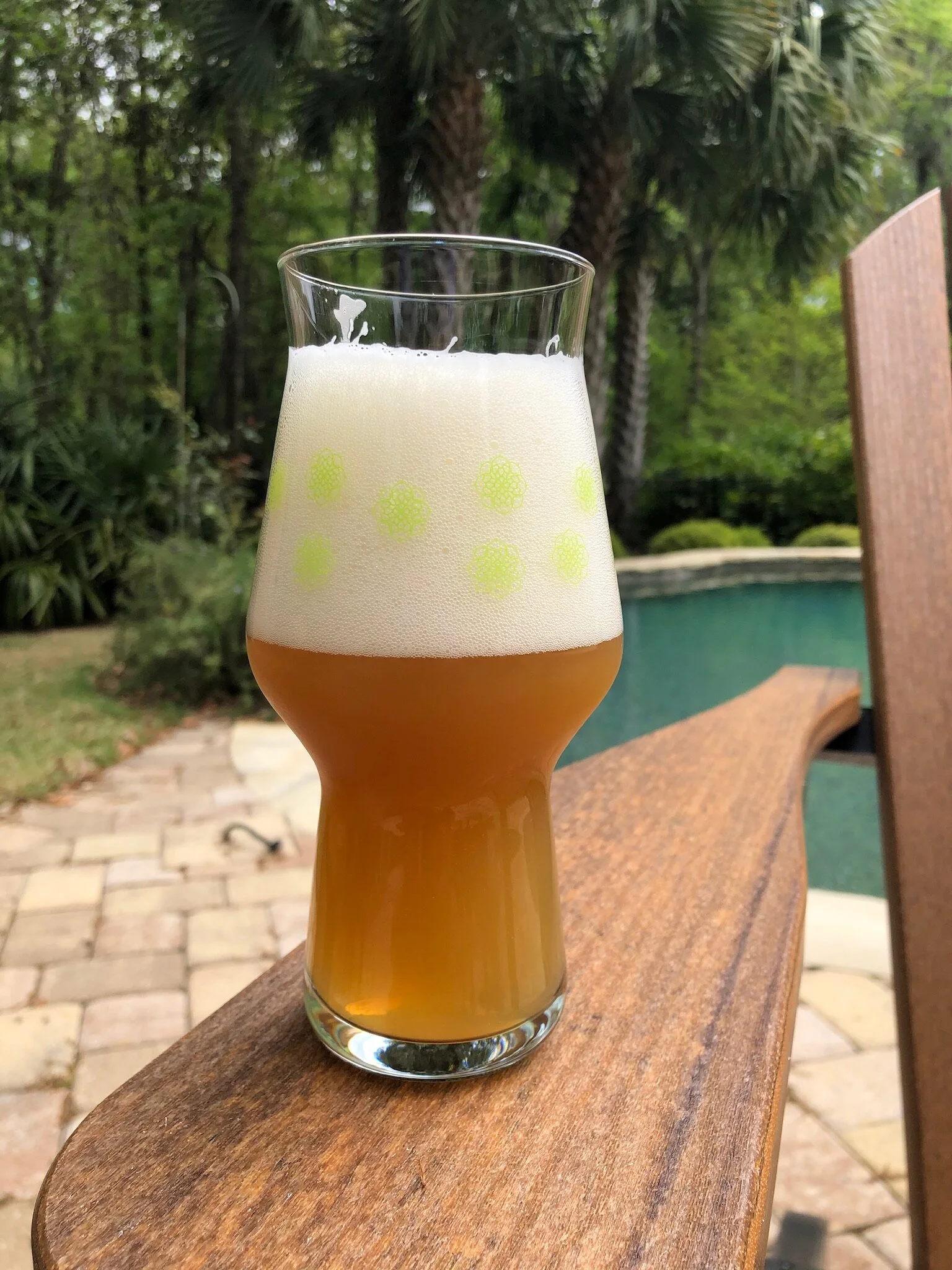 Live action shot of beer social distancing by the pool