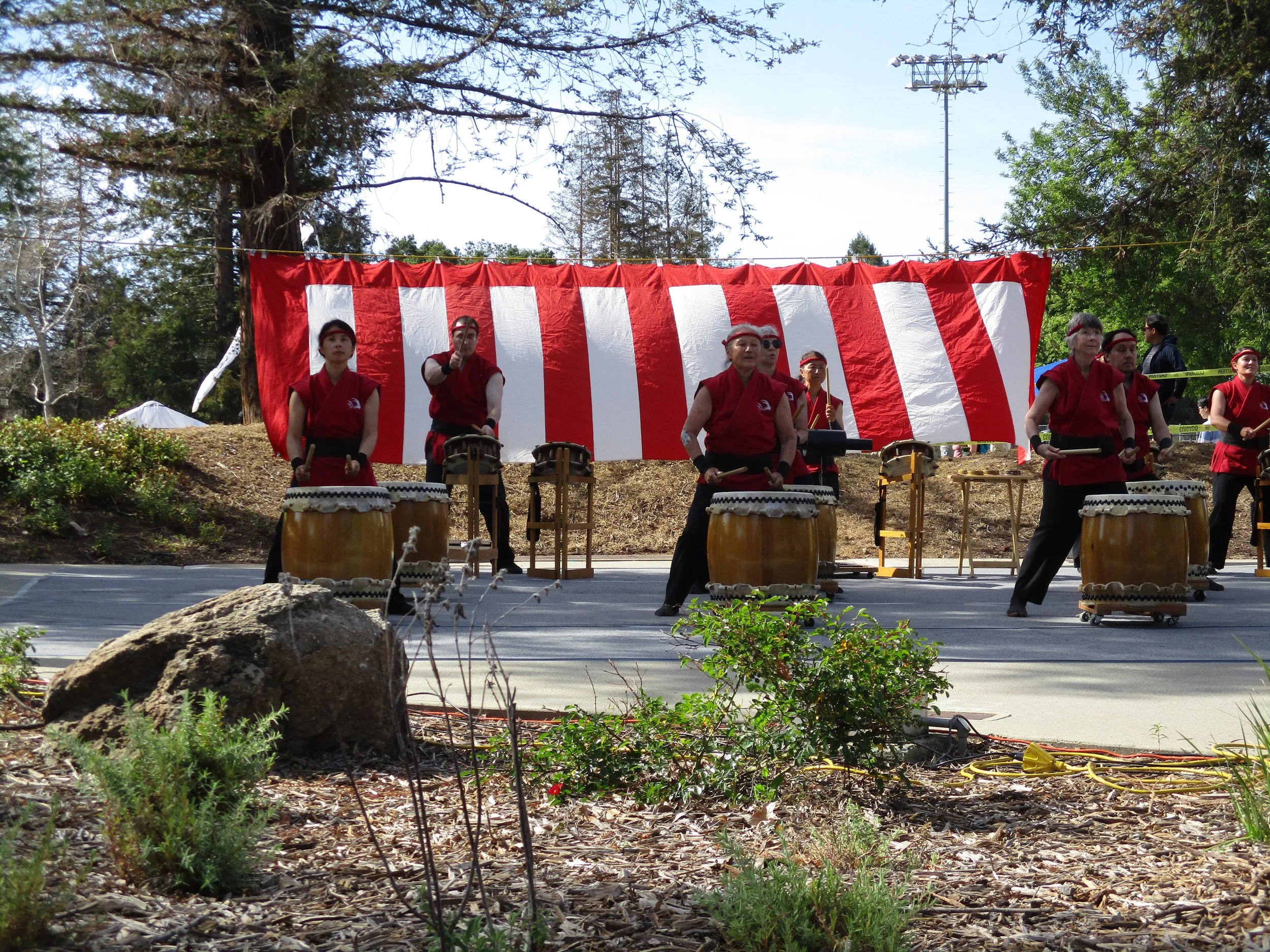 Cupertino Cherry Blossom Festival