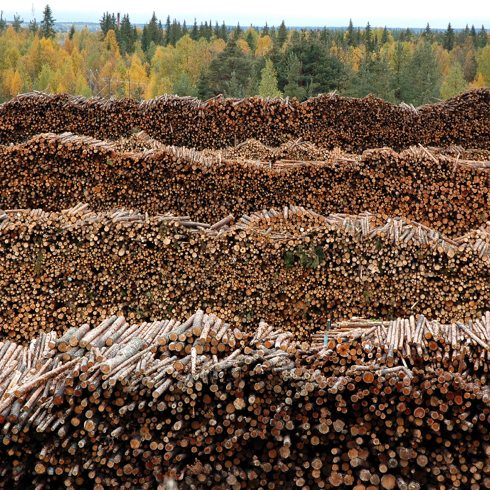 The Great Unbundling of Venture Capital