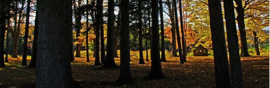 Stop Looking for a CoFounder