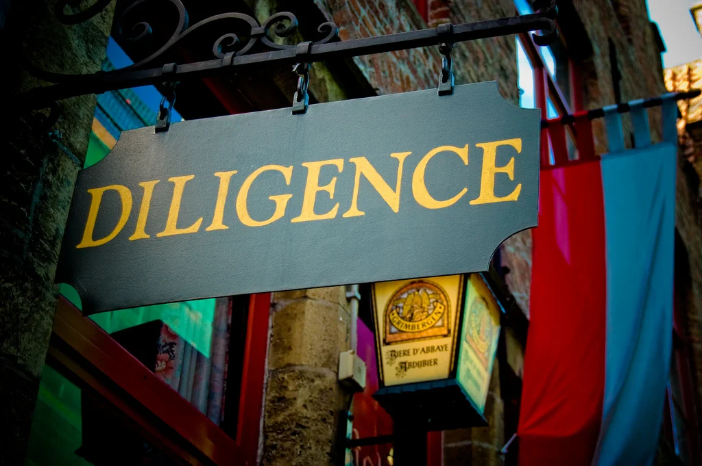 Hacking Diligence 
