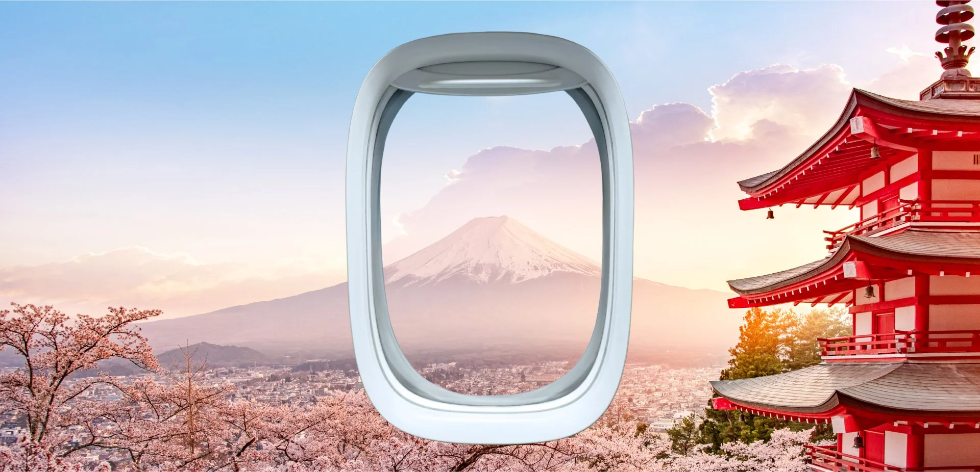C49-header-100.jpg
