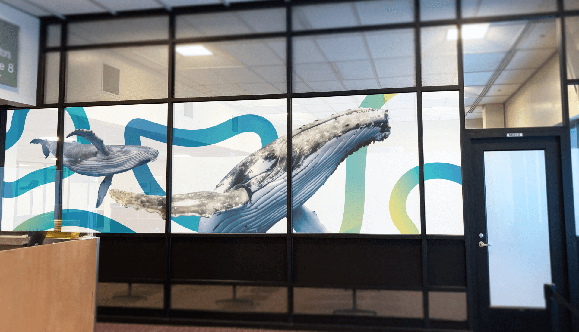 msi-aia-whale-wall-1.png