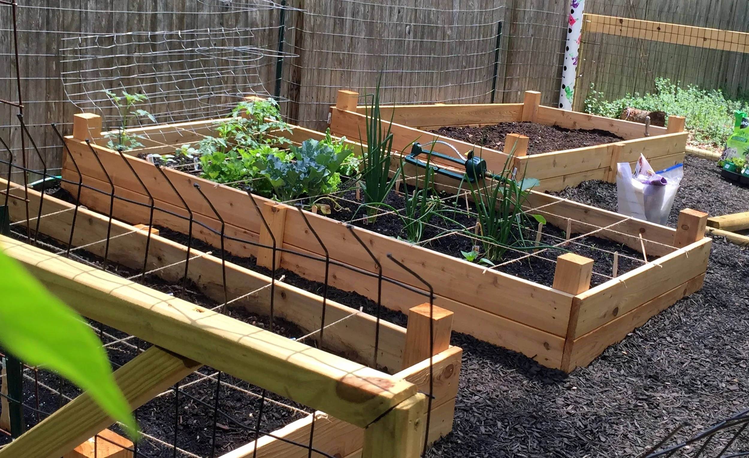  Custom Vegetable Garden 
