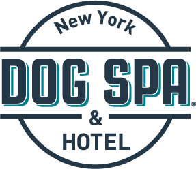 NYDSH_logo_cmyk.png