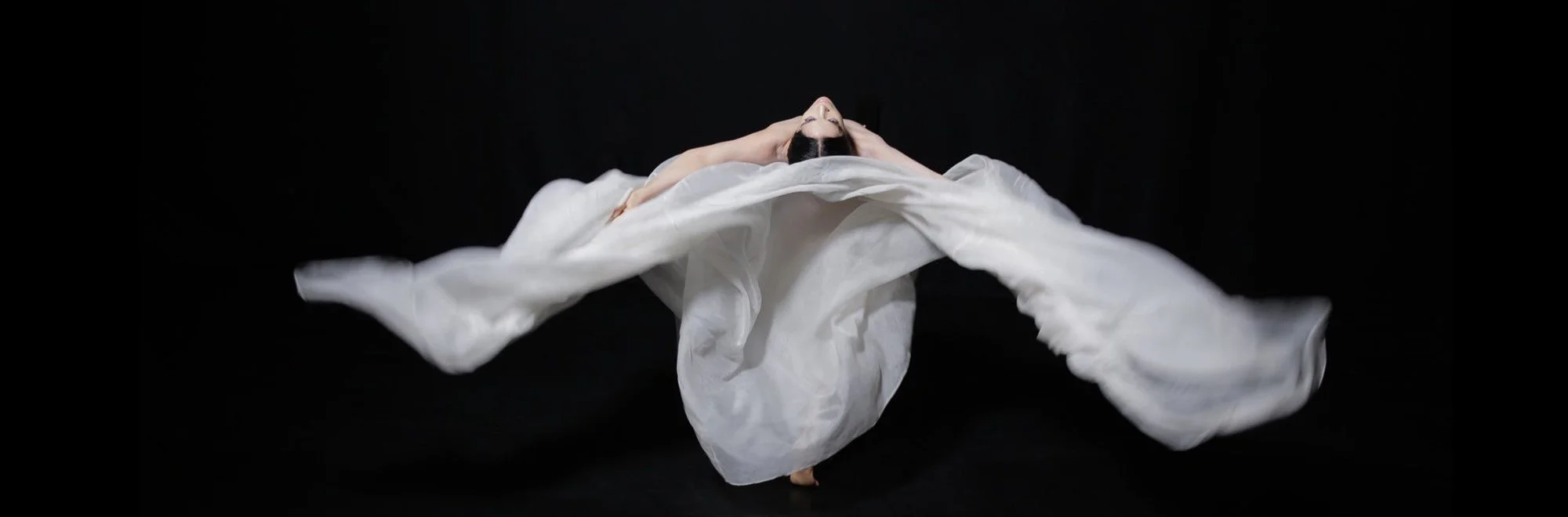 The Alchemist’s Veil