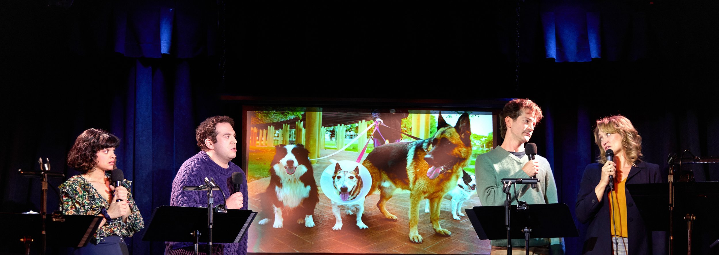 The Dog Show: Come. Sit. Stay.