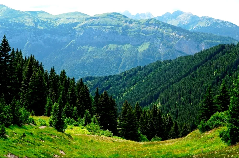 Webp.net-resizeimage_2.jpg