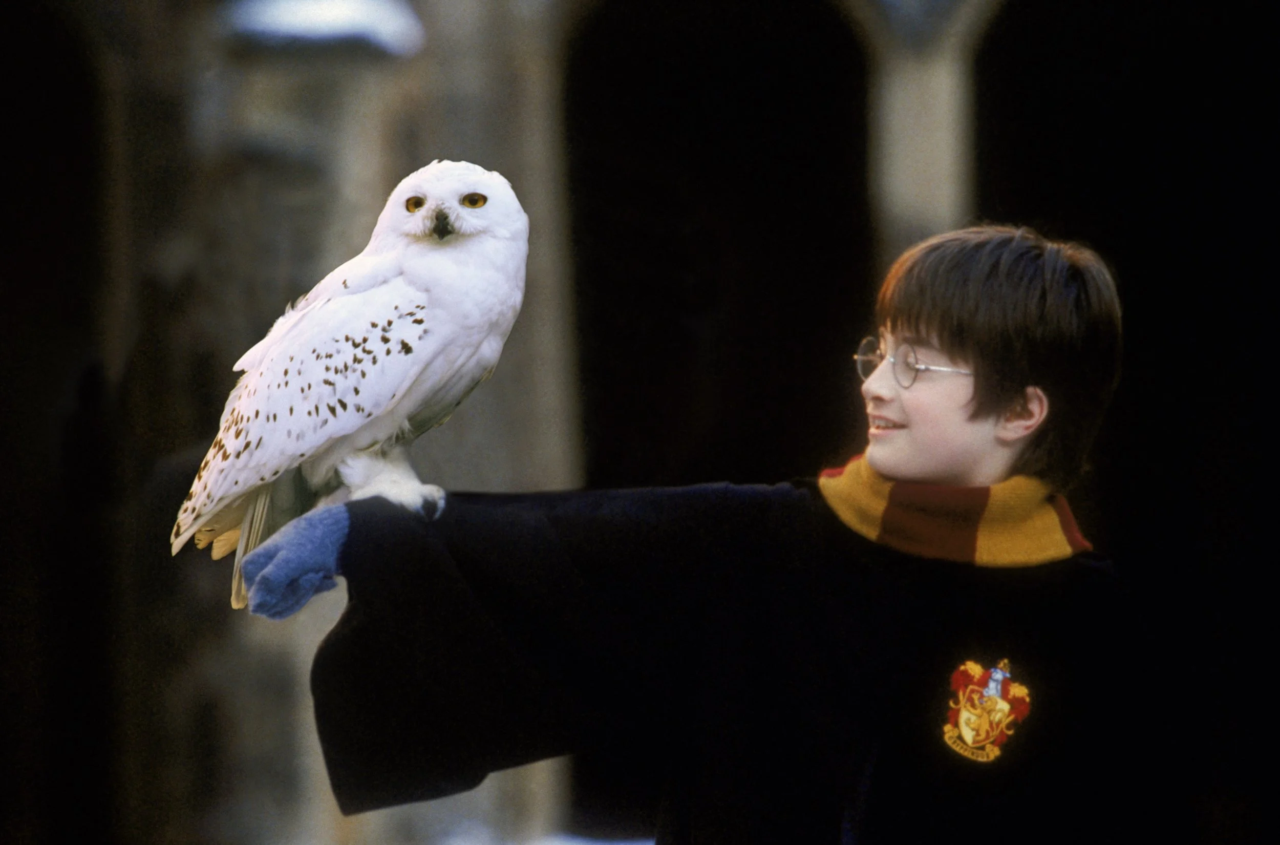 New: GIFS for social!