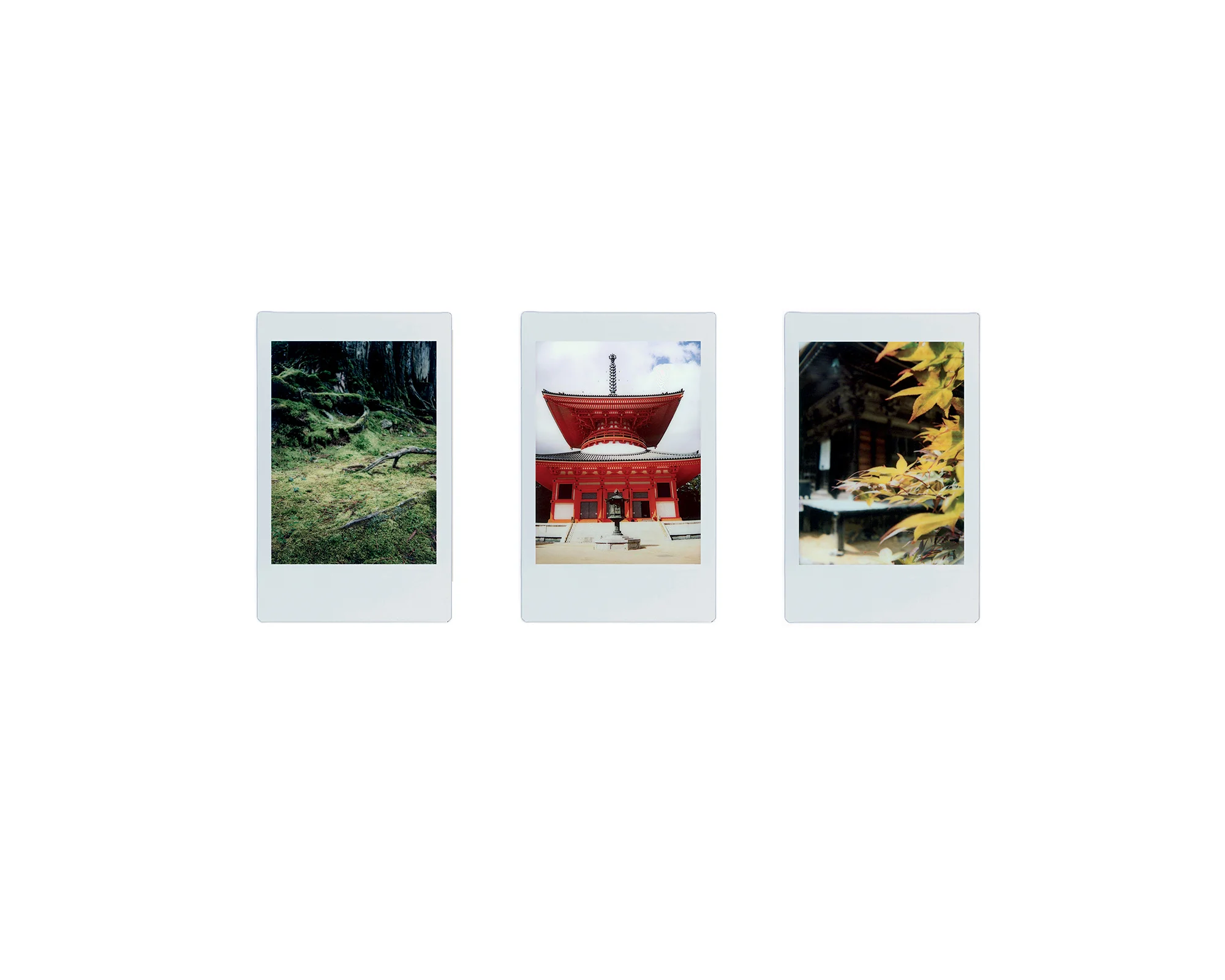 Kyoshu cover.jpg