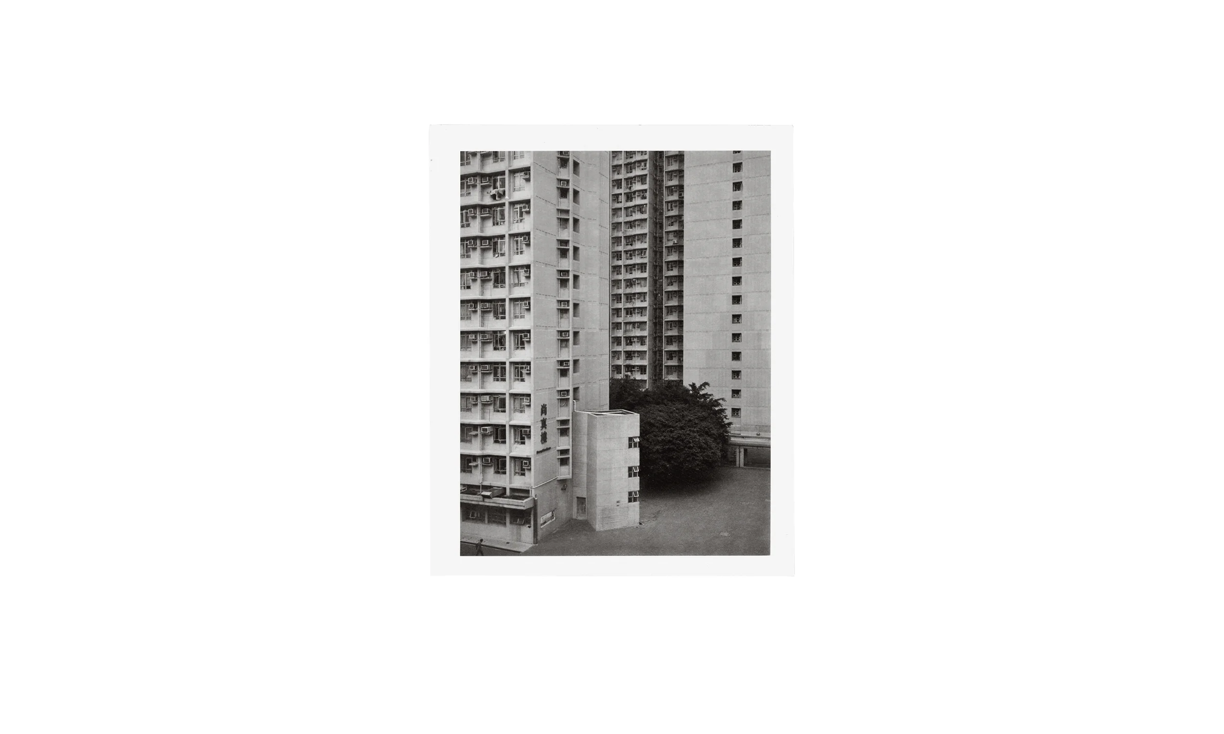 Cover site2.jpg