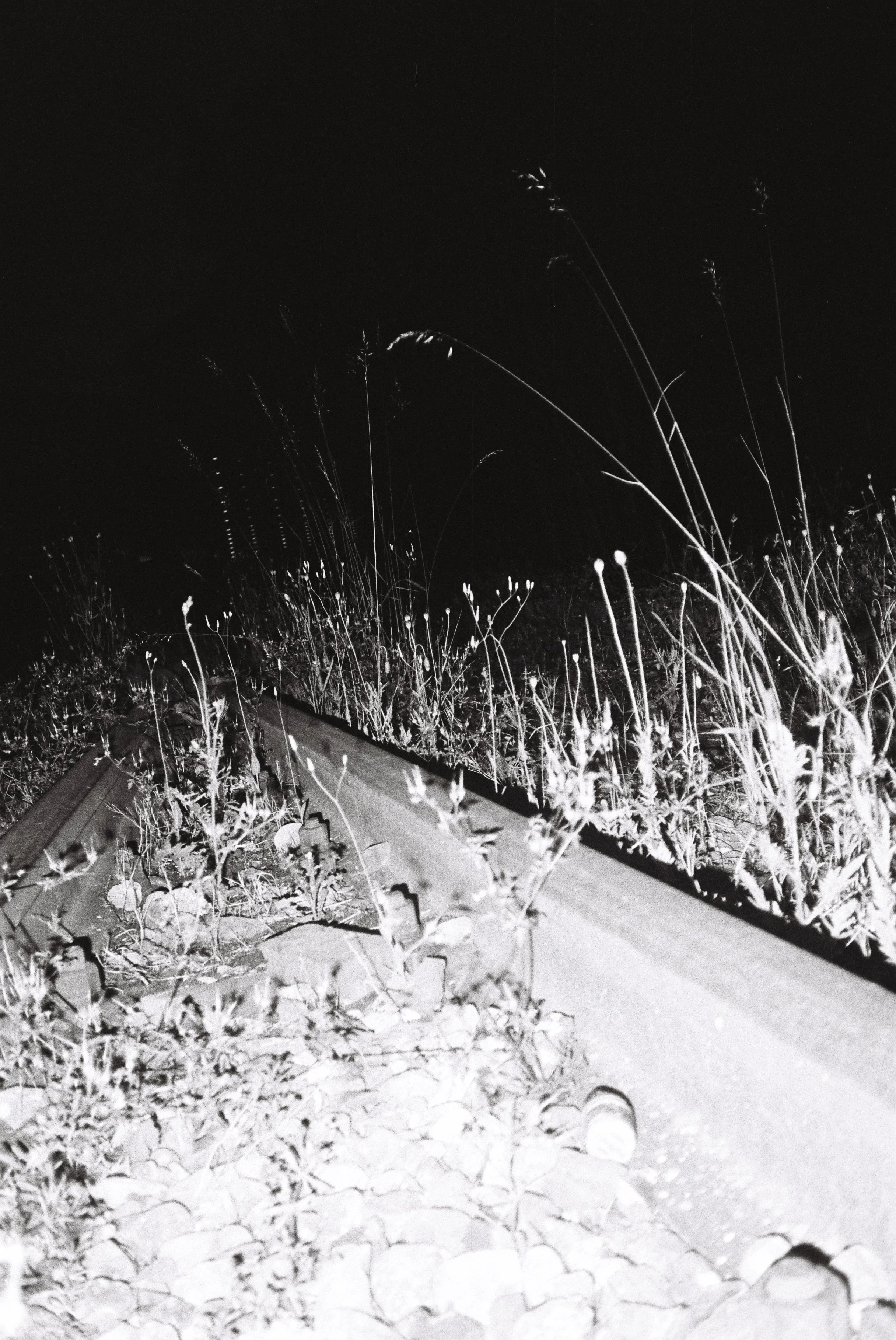 B005662-R1-02-3.jpeg
