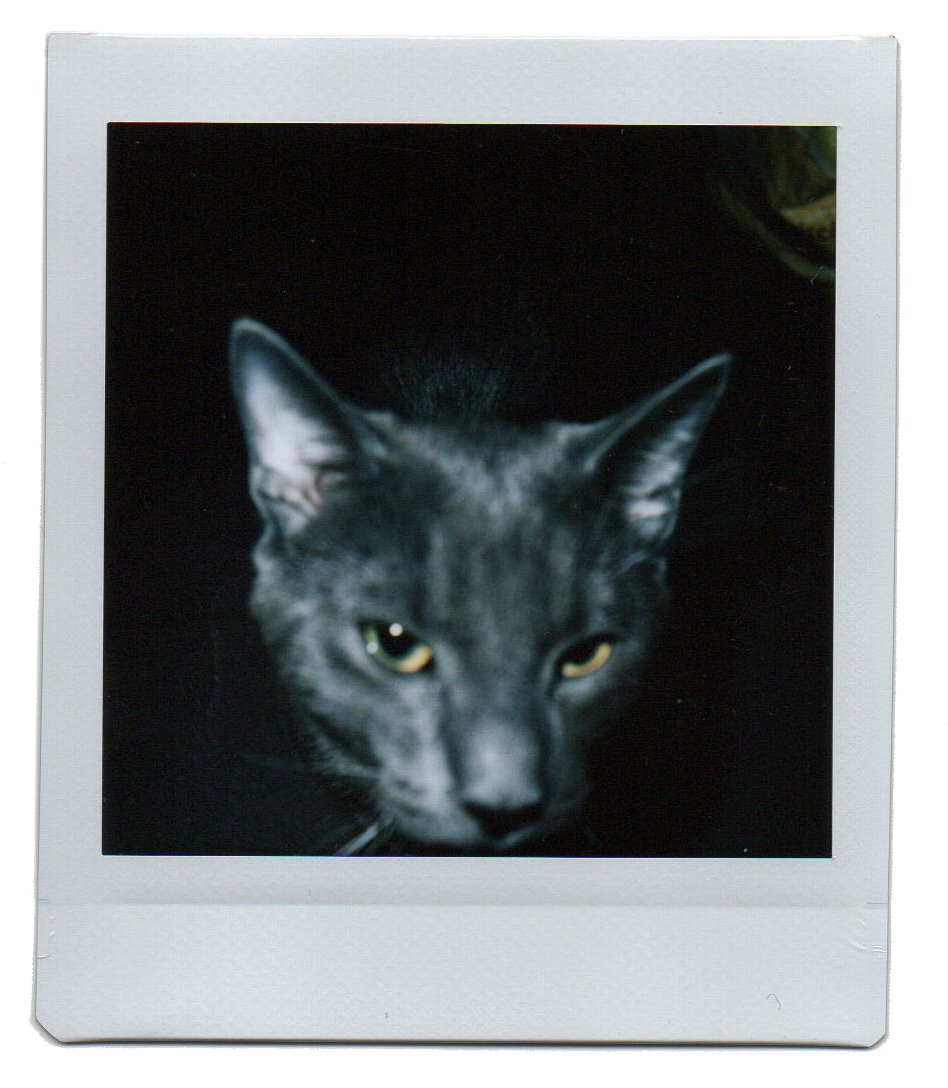 Fuji Pola 2_3.jpg