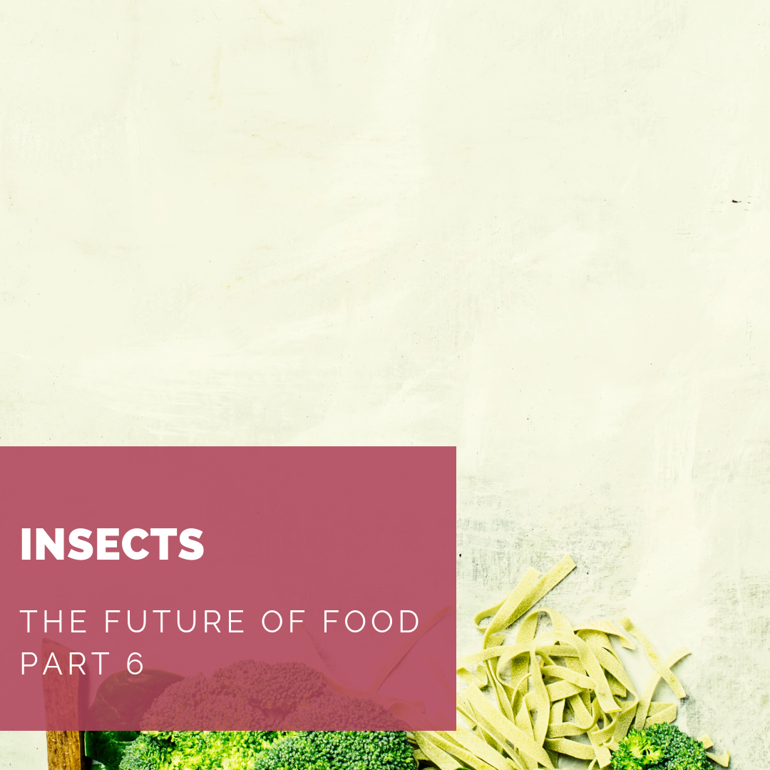 The Future of Food Part 6: Insects