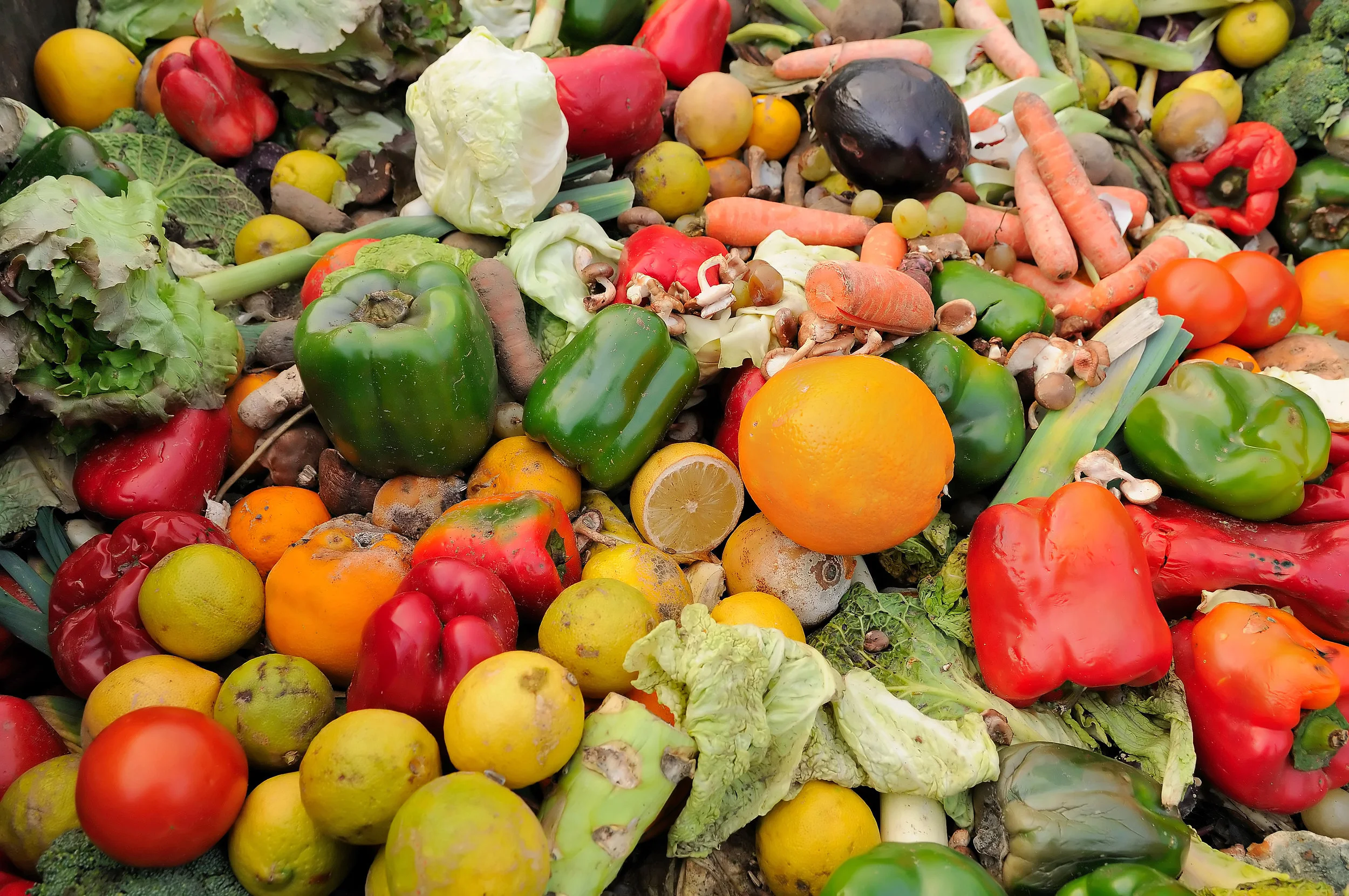 FROM TRASH TO CASH: THE UPCYCLED FOOD WASTE INDUSTRY IS WORTH $46.7 BILLION