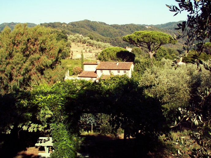 The house sits on 4 enclosed acres of terraced olive groves and gardens; there is a locking gate for privacy. It is located just 6 miles from the beaches of Viareggio, 25 miles from Pisa airport, and 25 miles from the walled city of Lucca, with its vestiges of ancient Rome and the Renaissance.
