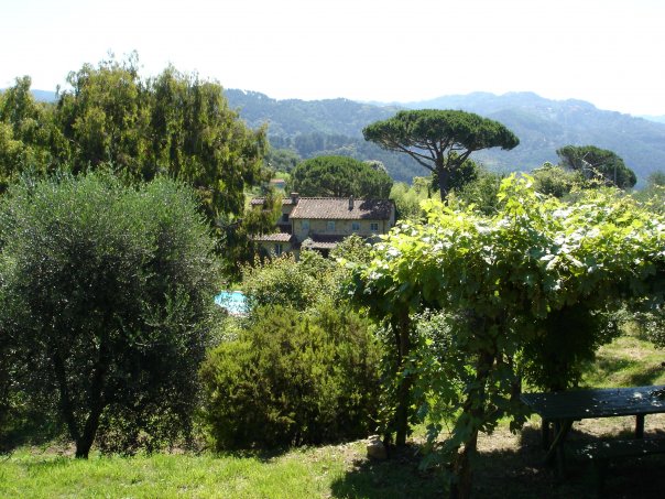 Our entire property is fenced and gated. This view from the top of our land shows the hills of the Apuane Alps which surround the house.