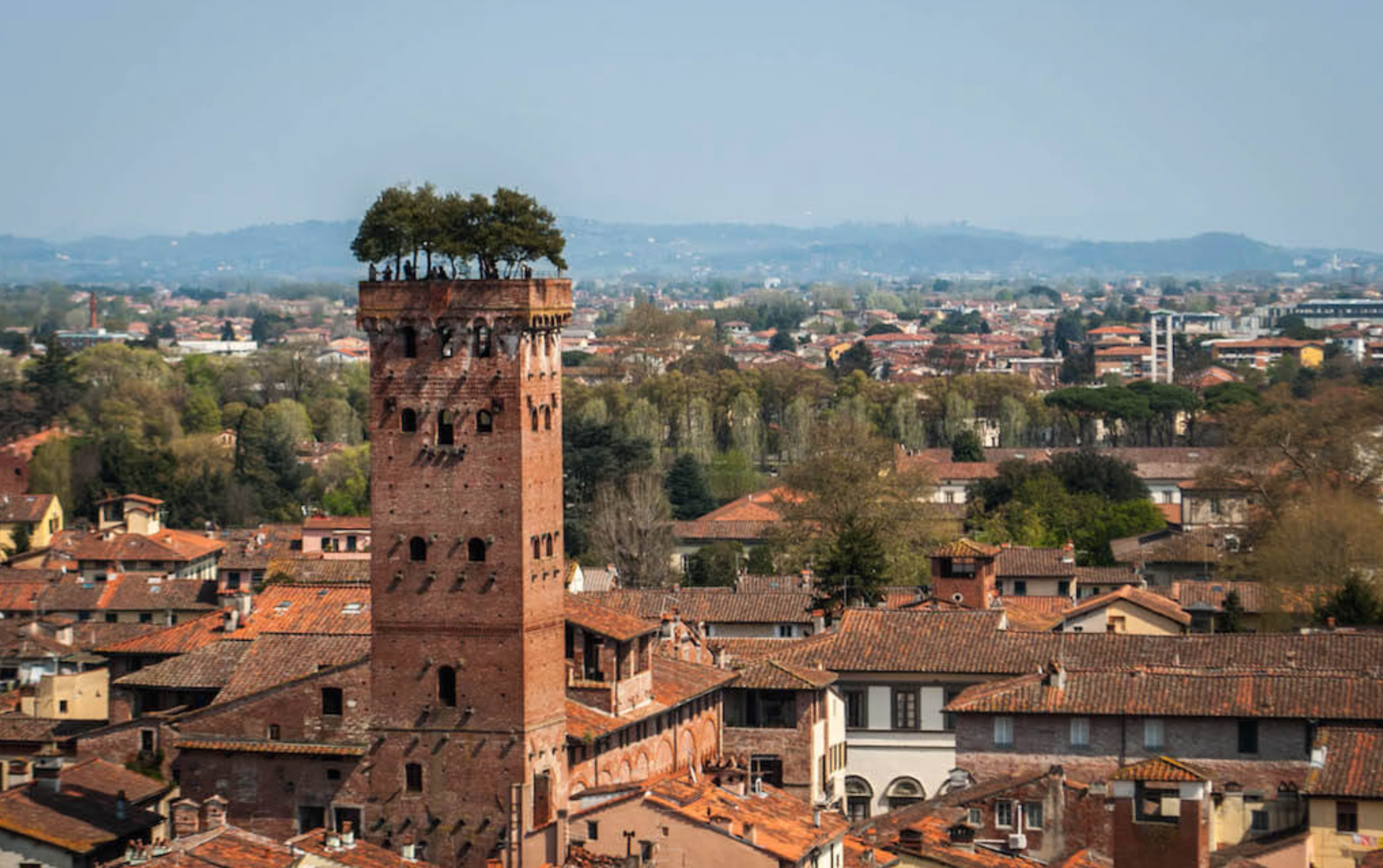 The Torre Guinigi dates from the 1300s and has an impressive garden at the top which is open to anyone who wishes to climb the stairs!